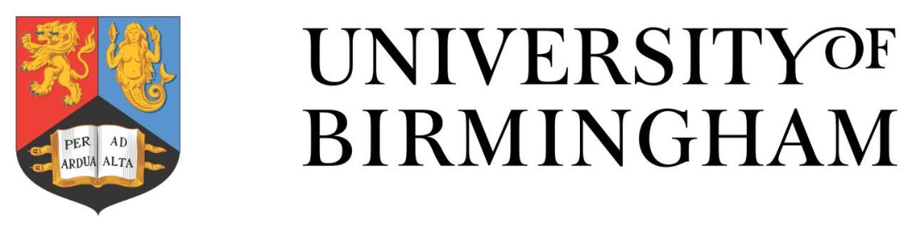 Double Near Queen Elizabeth Hospital And Homestay Birmingham