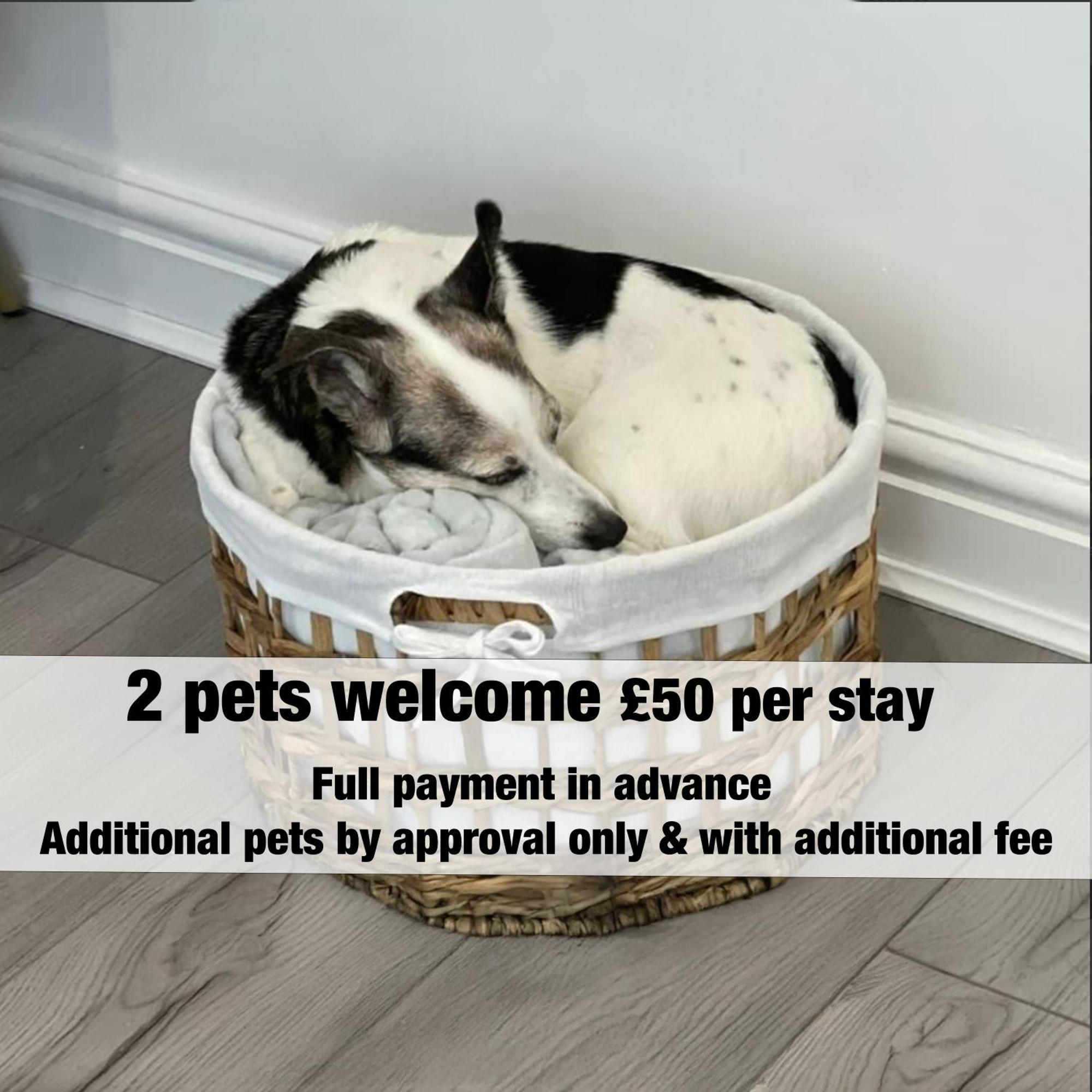 Apartment Emerald Delightful Moseley Mews, By Staystaycations