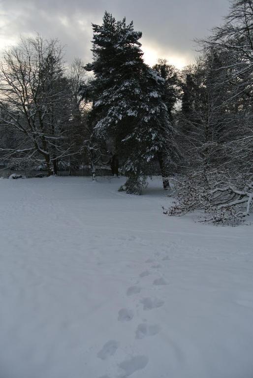 Woodbrooke