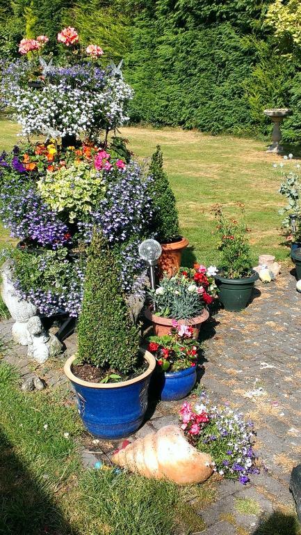The White House Quality B&B Near Bham Nec/Airport *