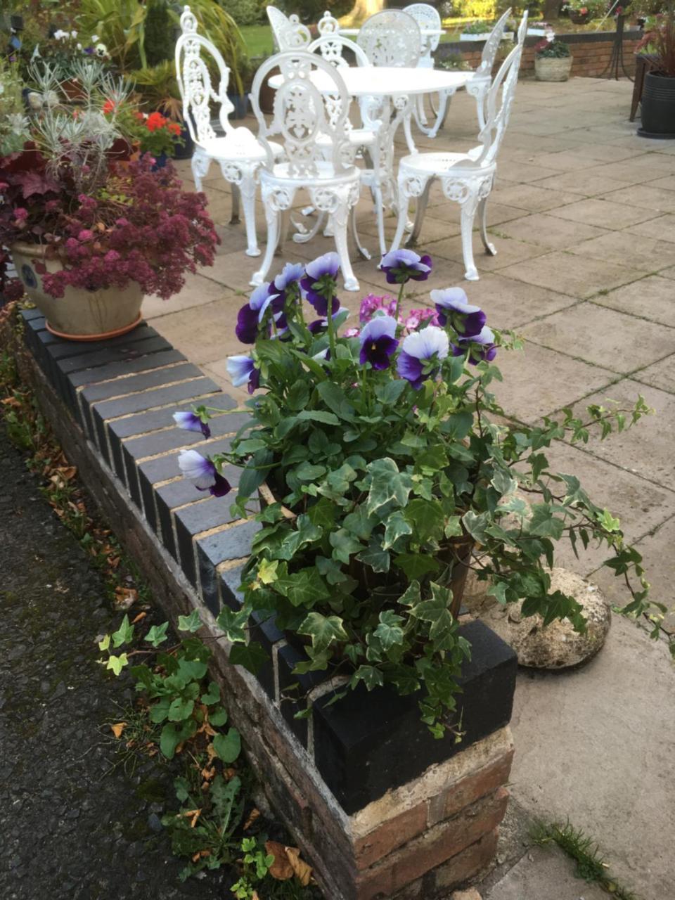 Bed & Breakfast Elmdon Birmingham