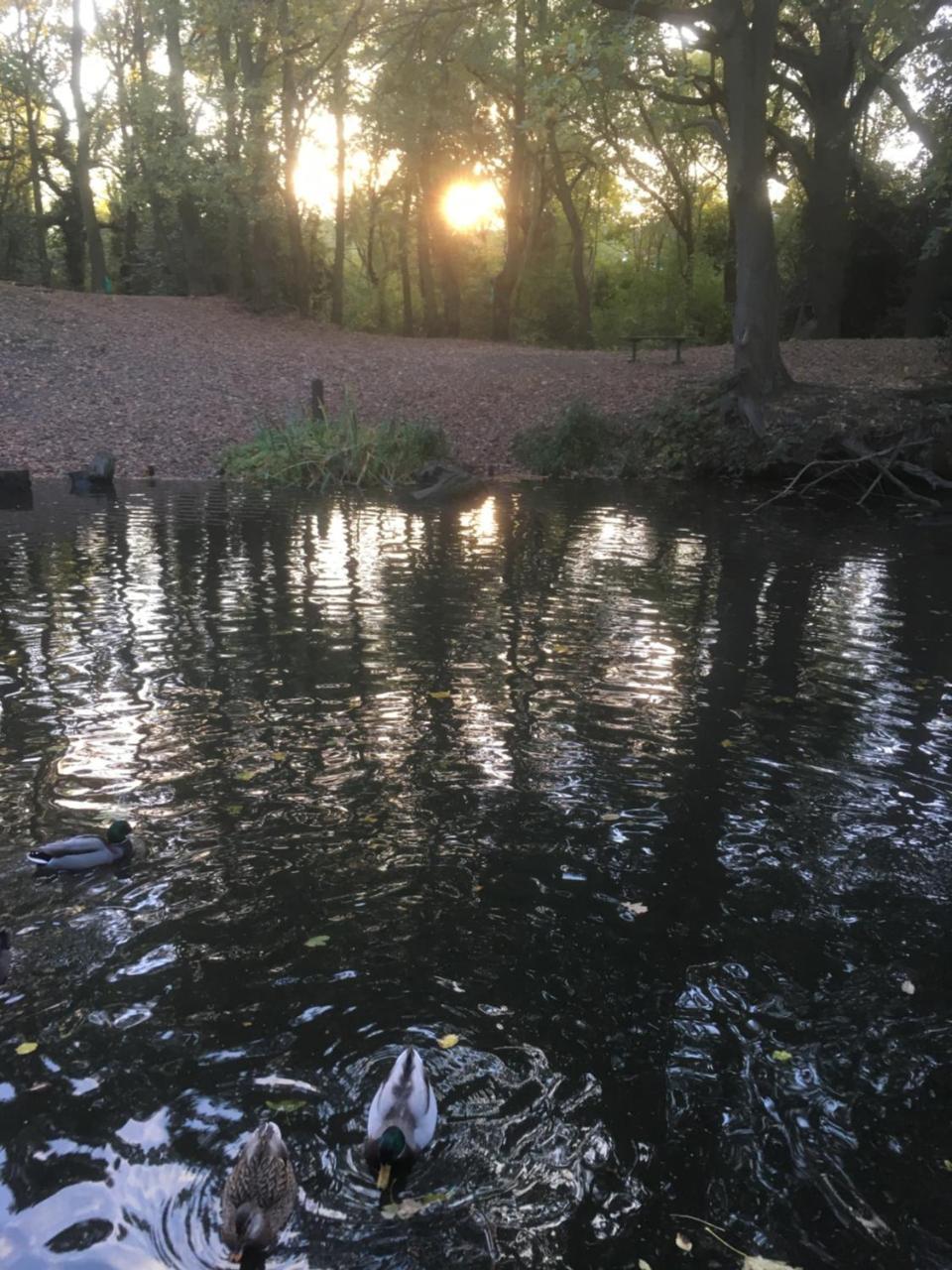 Elmdon 3* Birmingham