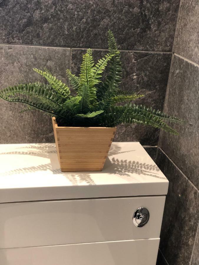 Apartment Flat Near Nec And Bham Airport Birmingham