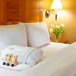 Copthorne Hotel Birmingham