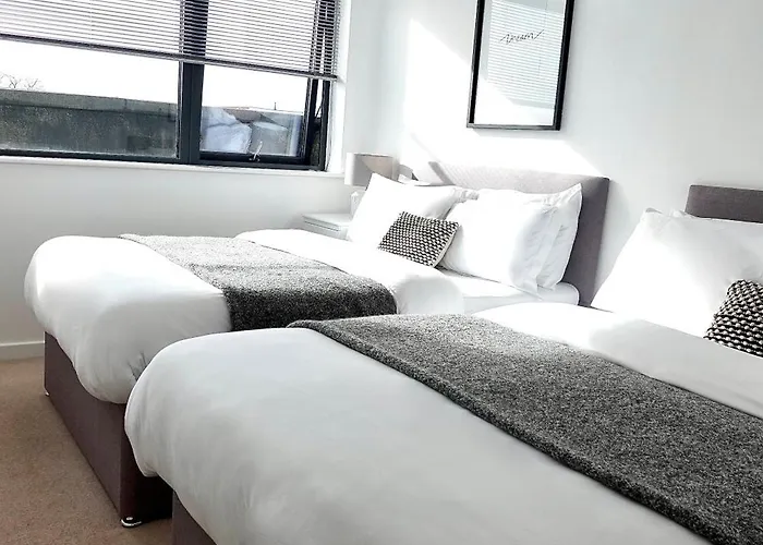 Modern Luxurious Apartment
