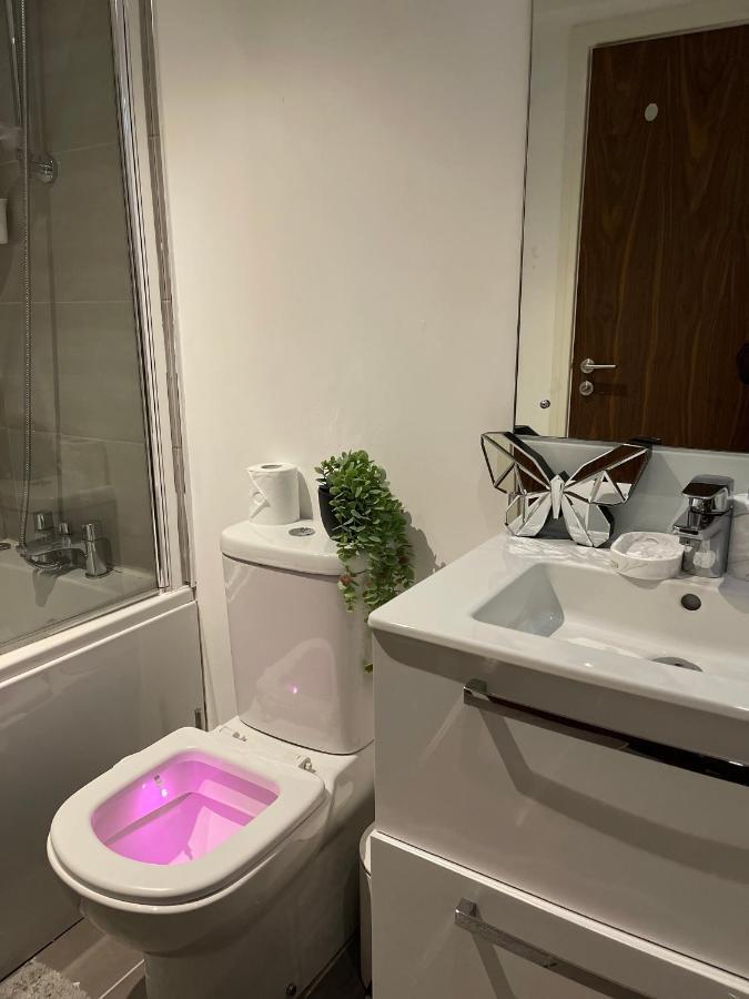 Modern Spacious 1 Bed Flat In Centre With Free Parking, Fast Free Wifi And Netflix Birmingham