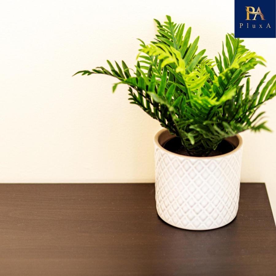 Pluxa Claassy Visit Centre Spacious With Free Parking Apartment