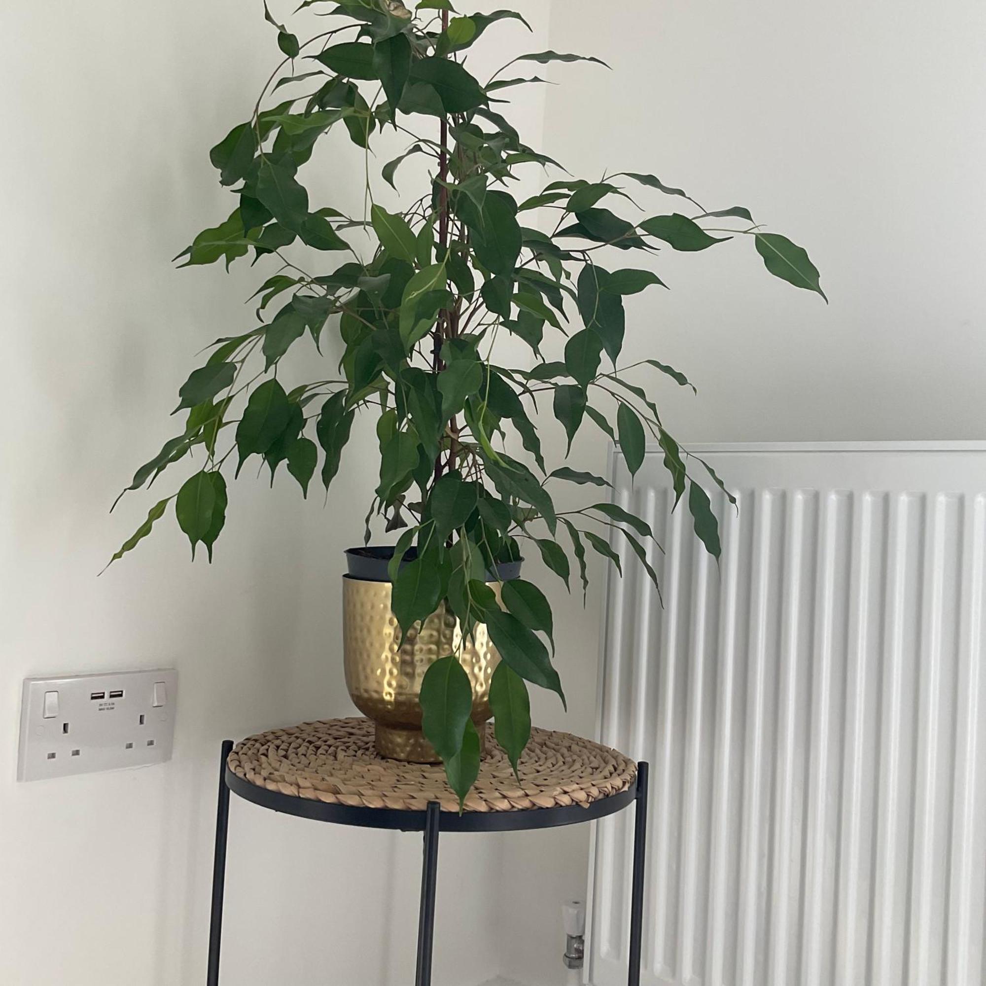 The Parkes A Stylish 3br House With Free Parking, 5 Mins From Close To The Edgbaston Stadium, The Hippodrome, Uob, Aston And Bcu, China Town, Kings Heath Bhx Airport And Much * Birmingham