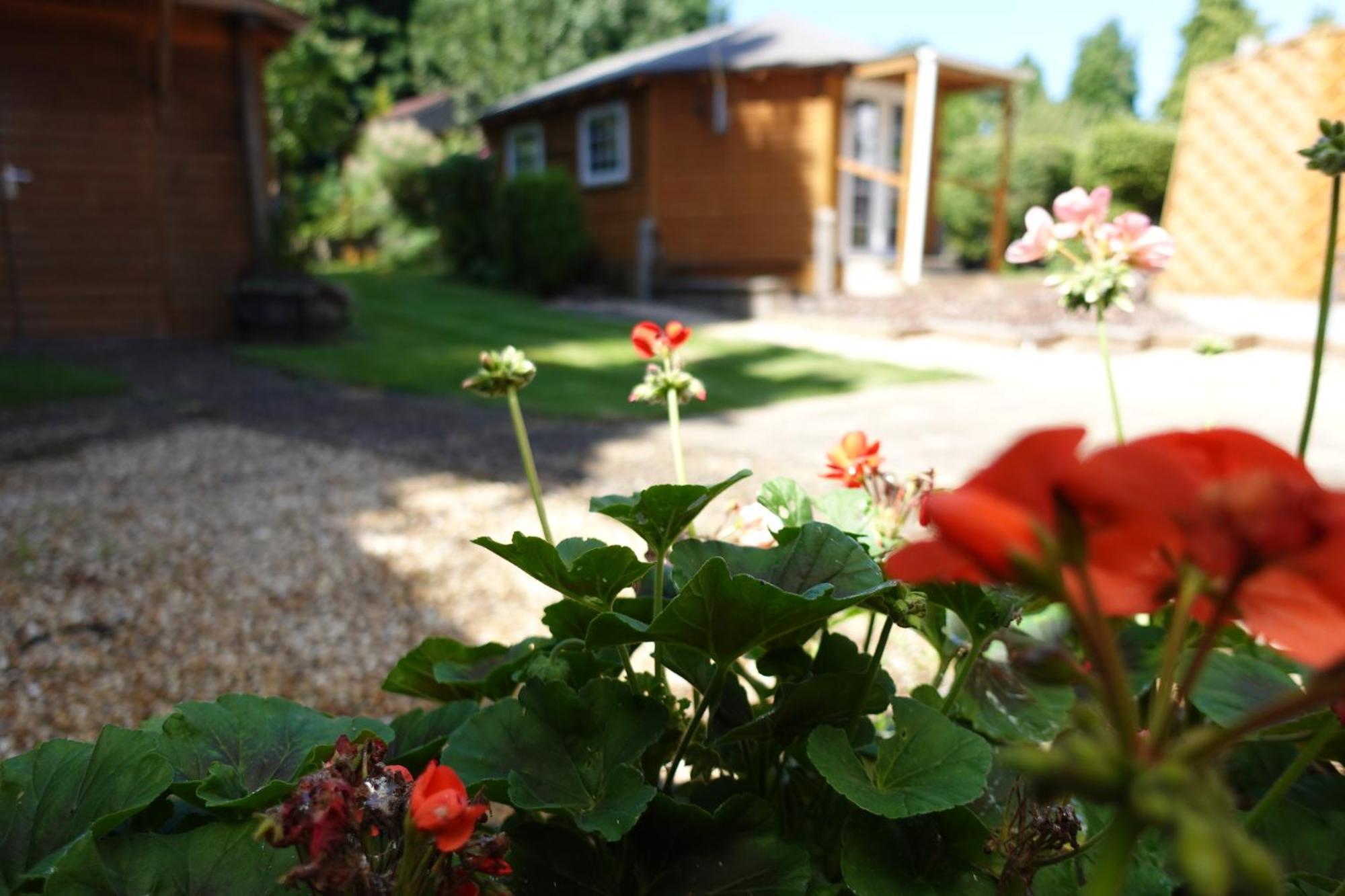 Huge 9 Bed Sleeps 17, Near Nec, Centre, Hs2